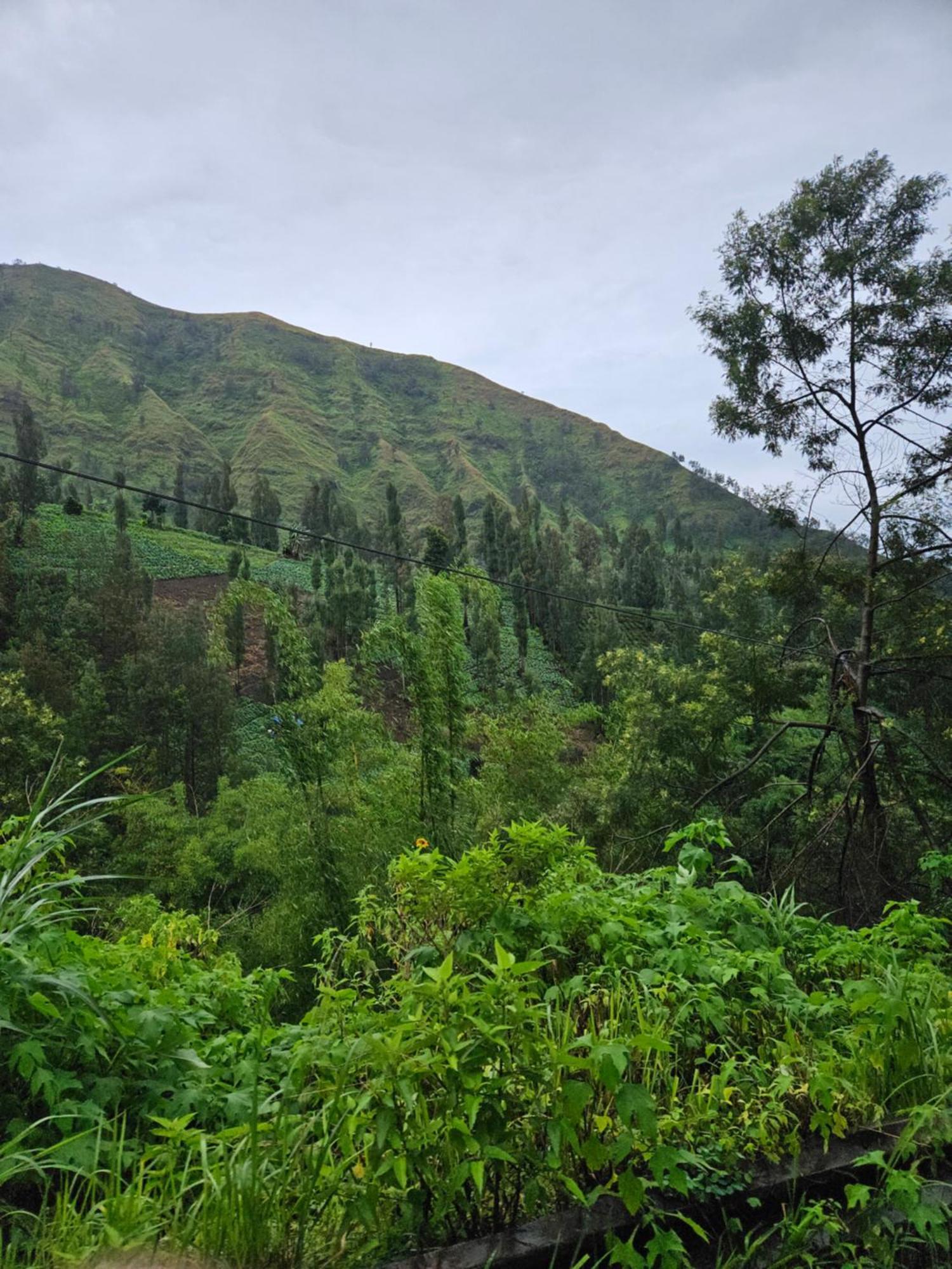 Arum Bromo Villas Ngadisari Exteriör bild