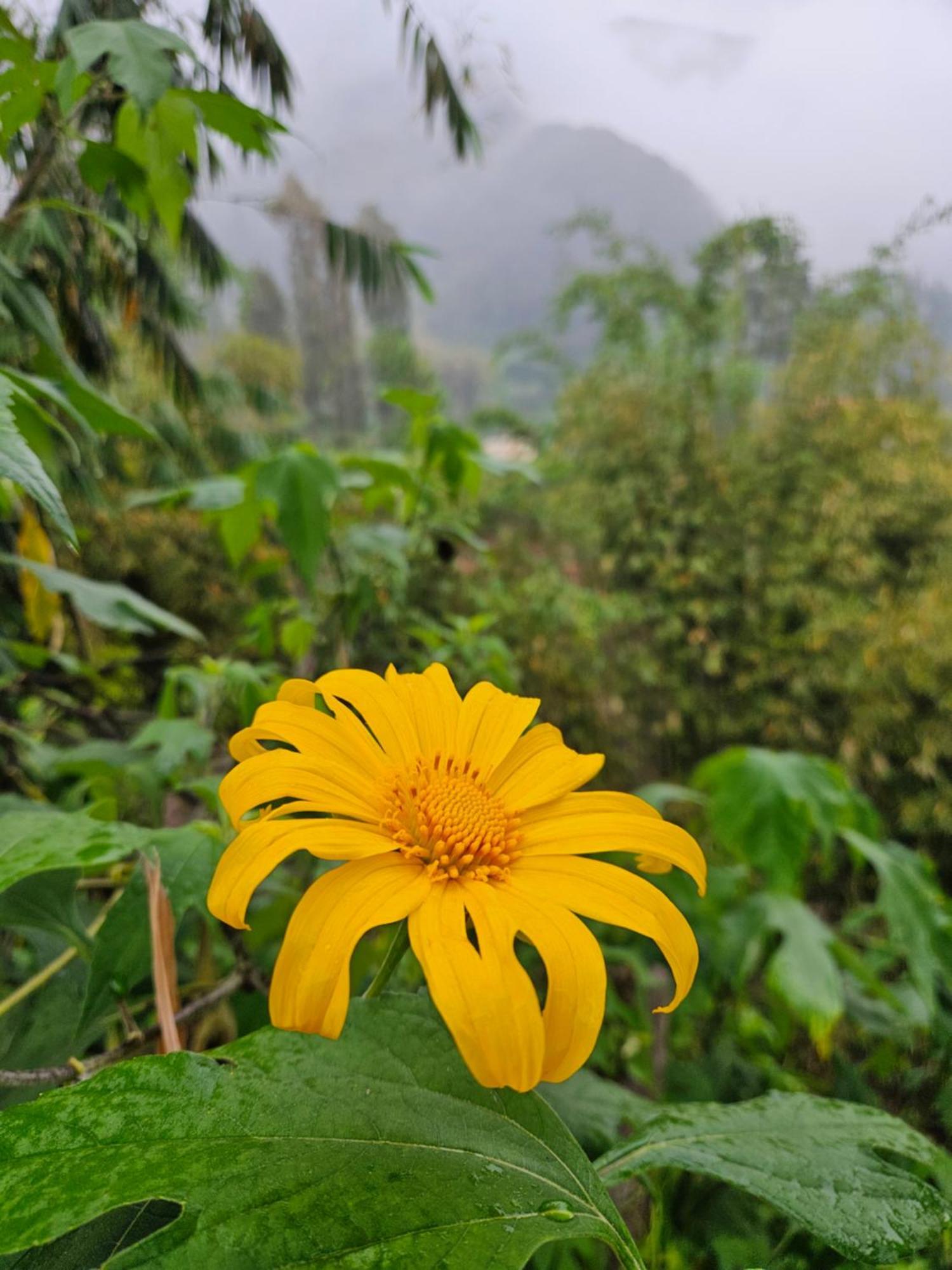 Arum Bromo Villas Ngadisari Exteriör bild